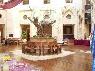Olive Tree 4*